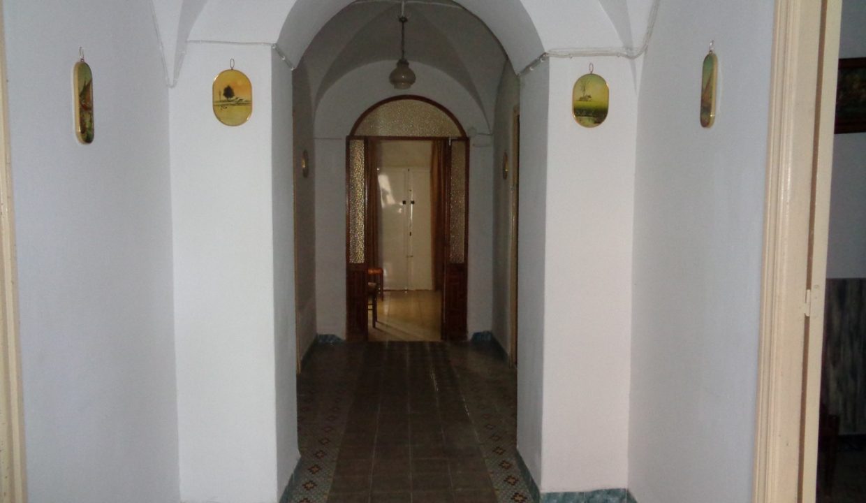 DSC00790
