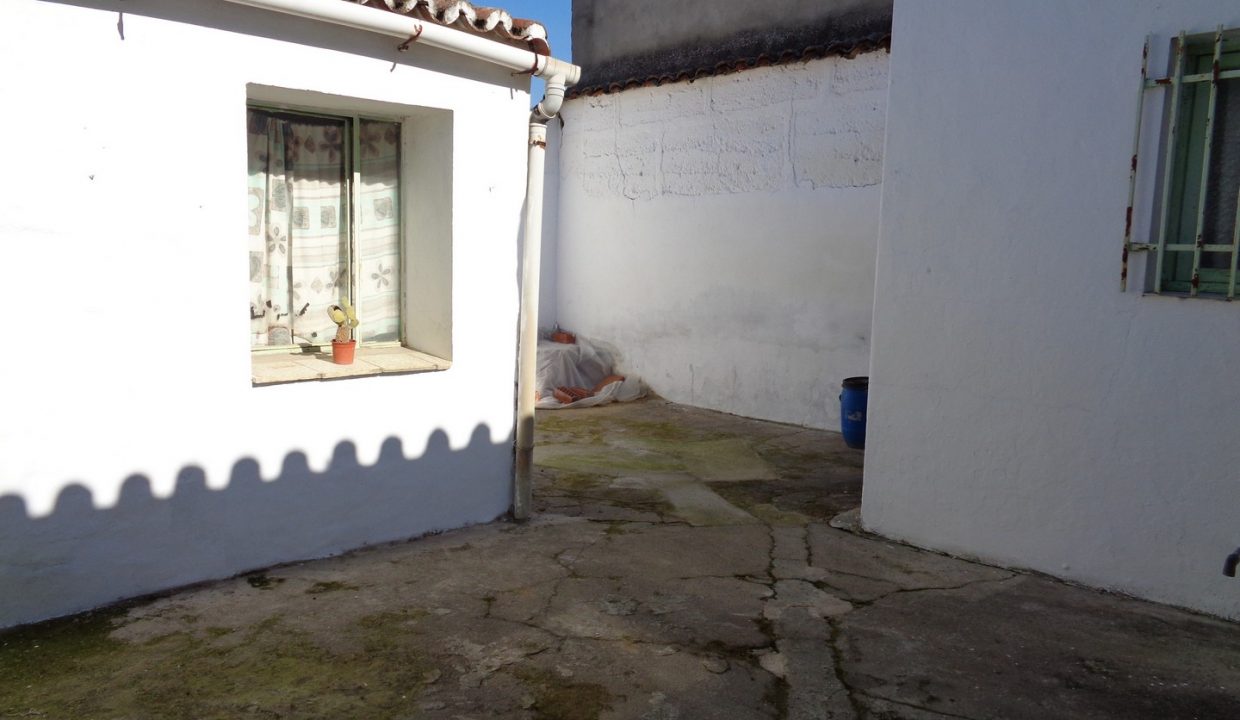 DSC00795