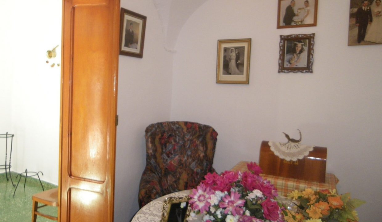 IMGP4882
