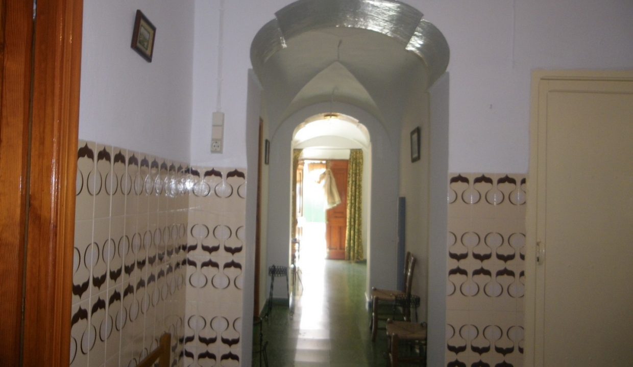 IMGP4894