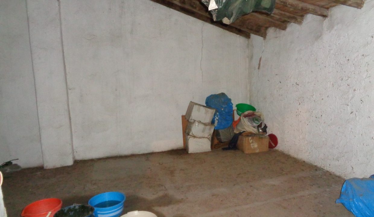 DSC03304